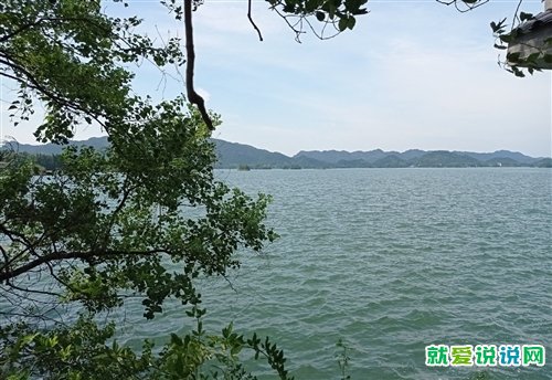 赞美山清水秀的句子
