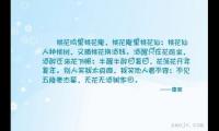 关于微笑的优美语句大全