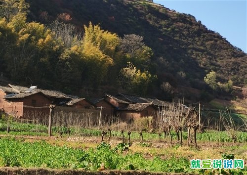 回老家发朋友圈的句子