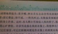 关于优美的句子20字大全