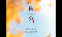 关于秋分的唯美句子【图】