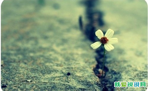 骂自己心软的句子