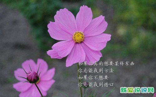 人都有底线的经典语录