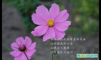 人都有底线的经典语录