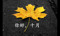 关于金秋十月的优美句子【图】