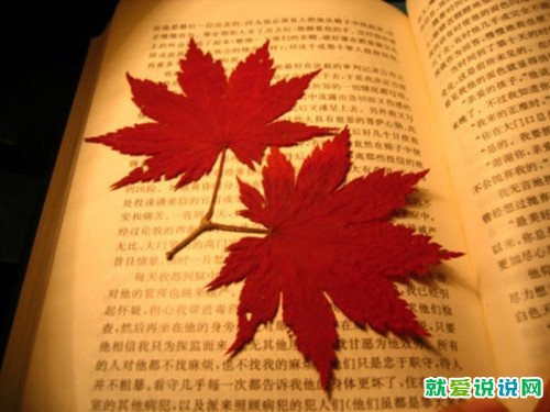 描写夏天的句子