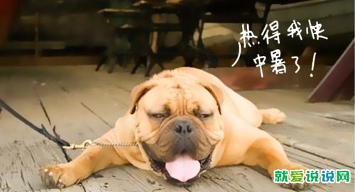 天气热发朋友圈的精美句子
