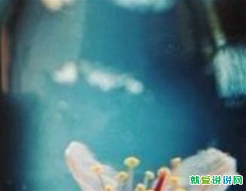 事多心烦无奈的句子