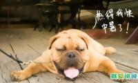 天气热发朋友圈的精美句子