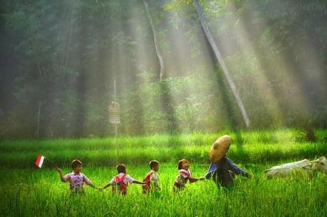 清明节郊游美句