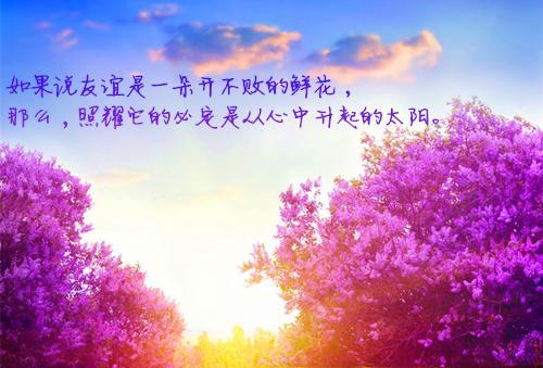 关于花的美丽句子