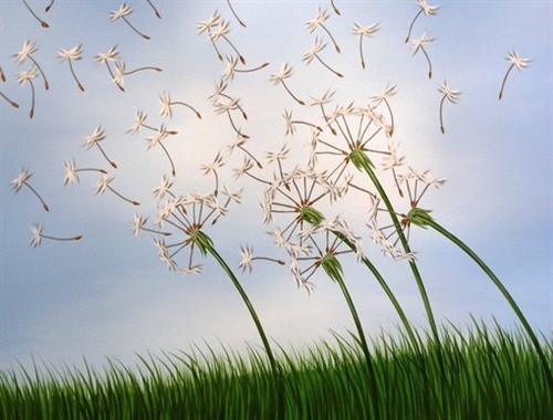 有关于月亮的古诗句