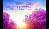关于花朵的优美句子大全