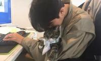 关于最能打击男人的语句【图】