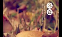 关于寒露发给客户的祝福短信【图】