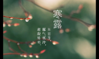 关于寒露发朋友圈的句子【图】