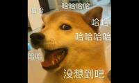 关于爆笑经典语录【图】