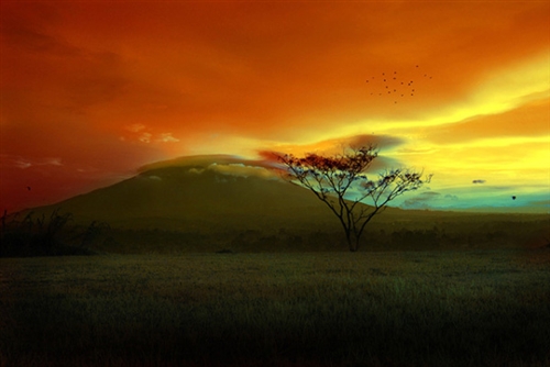 自己睡不着怎么发朋友圈