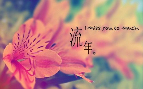 描述暗恋一个人的经典语录