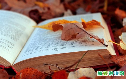 夸赞40岁女人最经典句子