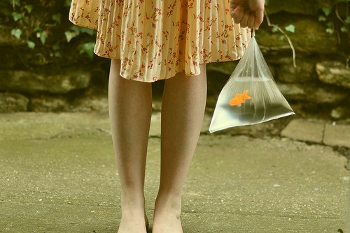 面对困难永不放弃的句子