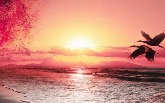 突然好想哭的句子