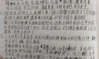 关于优美句段摘抄大全
