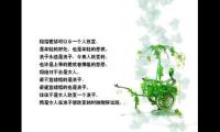 关于优美的语句摘抄大全