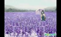 只求安安稳稳的短句
