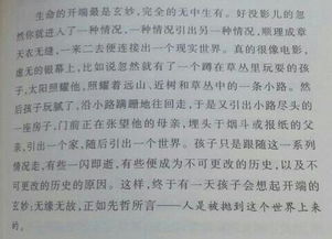 摘录自优美的段落
