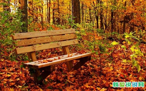 适合摄影的文案句子