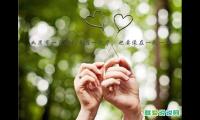 句句说到心坎上的句子