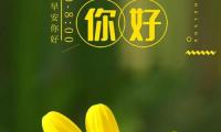 关于写牛的优美句子大全