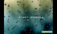 雨夜美景的诗句