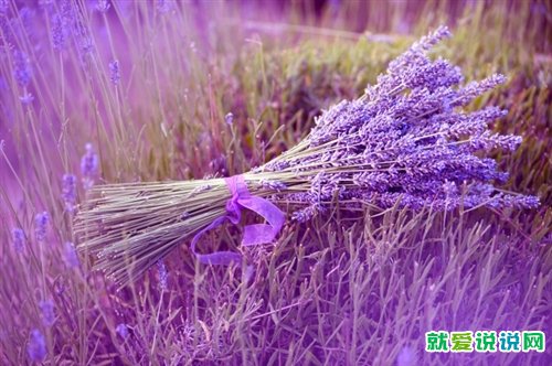 农村小时候的回忆感慨