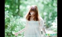关于仙女的文案