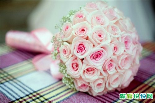 感恩我有一个好婆婆的句子