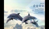 传媒公司名字大全免费两个字