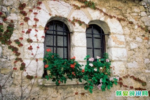 人真的太脆弱了的句子