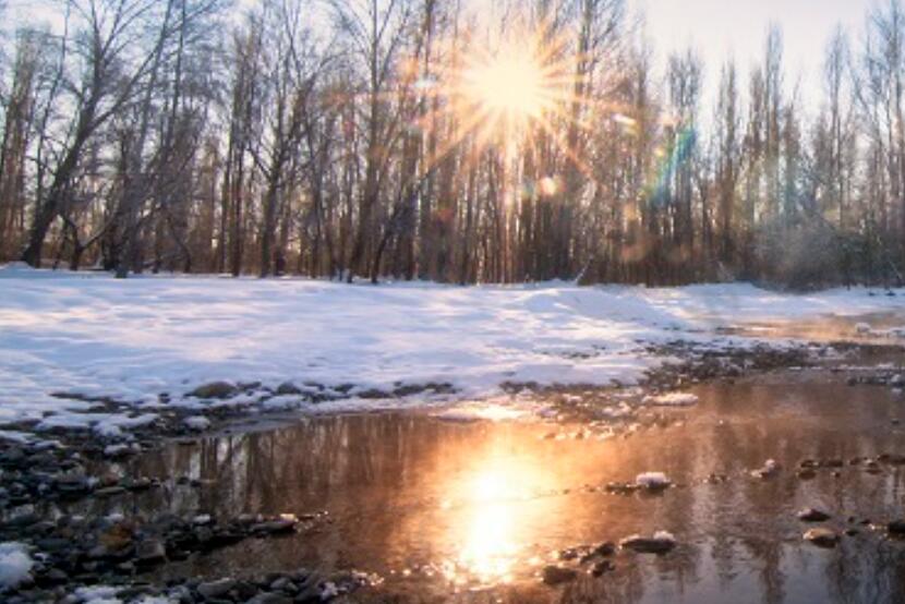冬日暖阳的唯美句子(精选50句),深入人心