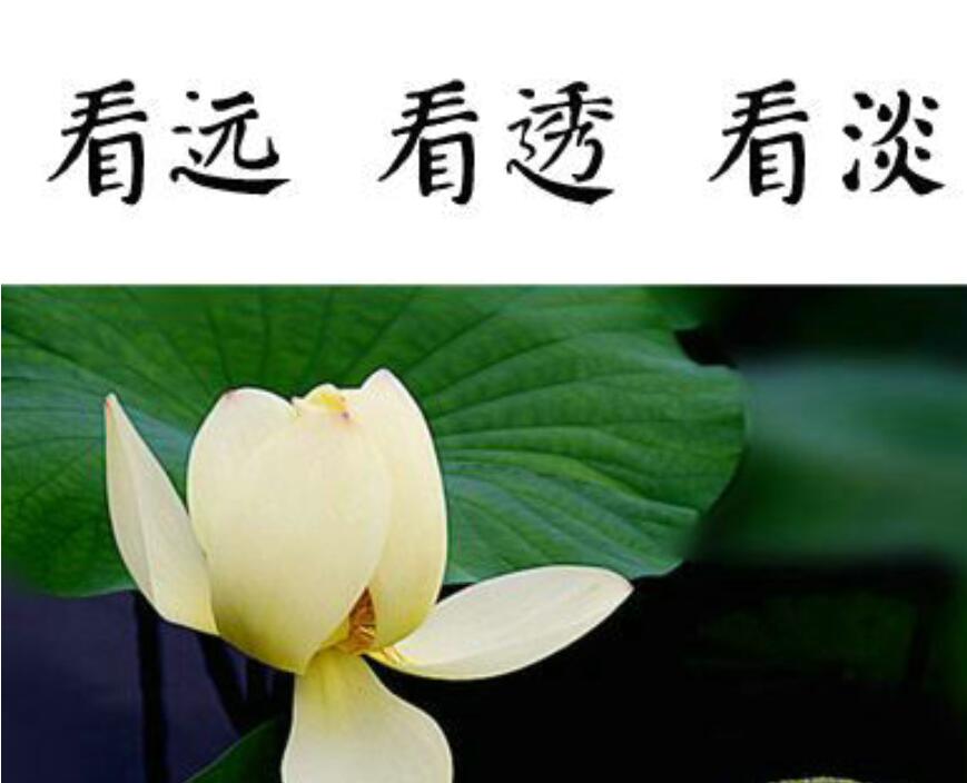 看淡一切无所谓的句子(精选55条)