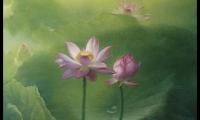 关于最经典的芒种节气祝福语大全大全
