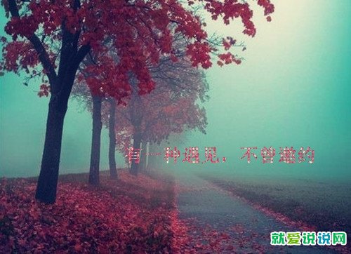 伤感表白的经典句子