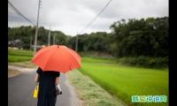 想挽回的伤心句子