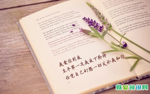 悲惨世界精彩句段摘抄