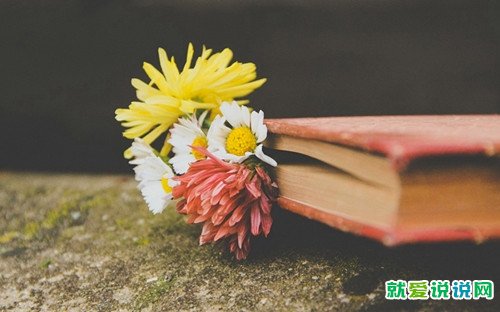 如懿传中的经典句子