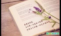 悲惨世界精彩句段摘抄