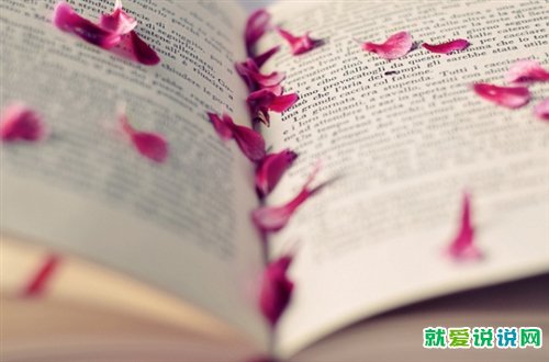 表达对爱情坚定不移的诗句