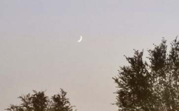 月亮的好词好句好段