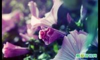 抱怨生活不公平的句子